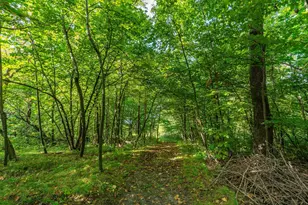 18101 Minni Acres Rd, Clitherall, MN 56524 - Photo 5
