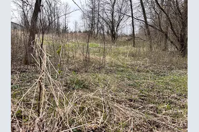Lot 6 215th Street, Barrett, MN 56311 - Photo 5