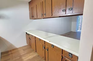 1485 Wildcat Ct, River Falls, WI 54022 - Photo 13