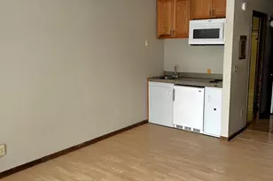 1485 Wildcat Ct, River Falls, WI 54022 - Photo 7