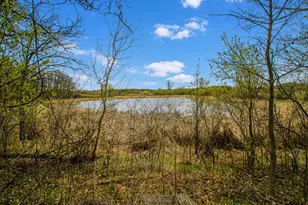 41922 County Hwy 38, Clitherall, MN 56524 - Photo 29