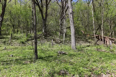 398 Pleasant Hill Drive, Winona, MN 55987 - Photo 5