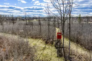11005 320th St, Park Rapids, MN 56470 - Photo 5