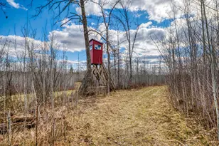 11005 320th St, Park Rapids, MN 56470 - Photo 59