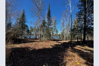 417 Barrel Road, Ely, MN 55731 - Photo 9