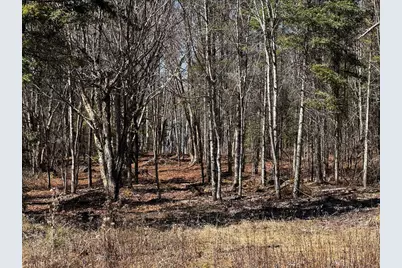 417 Barrel Road, Ely, MN 55731 - Photo 11
