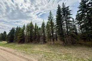 Xxx 245th Ave, Glenwood, MN 56334 - Photo 1