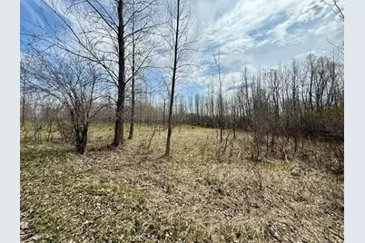Xxx 245th Ave, Glenwood, MN 56334 - Photo 7