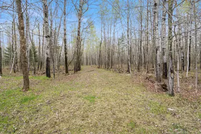 6046 Koller Road, Cotton, MN 55724 - Photo 53