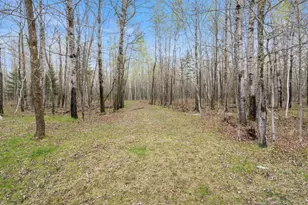 6046 Koller Rd, Cotton, MN 55724 - Photo 53