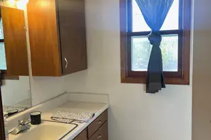 20339 600th Ave, Litchfield, MN 55355 - Photo 25