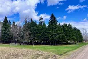 10261 Wien Rd, Cook, MN 55723 - Photo 57
