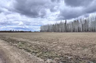 10261 Wien Rd, Cook, MN 55723 - Photo 59