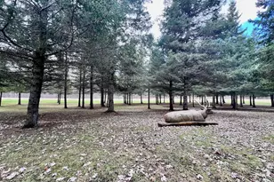 10261 Wien Rd, Cook, MN 55723 - Photo 53