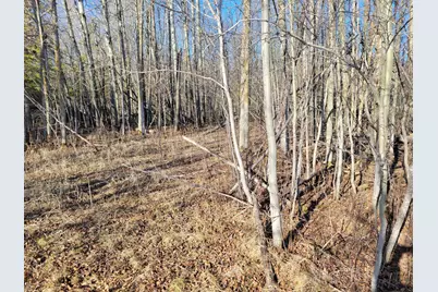 Tbd Sandy Shores Drive NW, Williams, MN 56686 - Photo 5