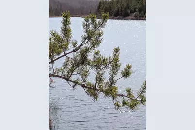 103 Onagon Lake Road, Grand Marais, MN 55604 - Photo 11