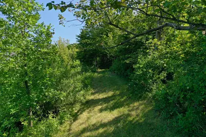 13638 183rd Street, Barrett, MN 56311 - Photo 17