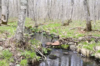 0000 West Eckel Lane, Exeland, WI 54835 - Photo 25