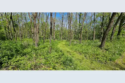 35423 Skyview Drive, Winona, MN 55987 - Photo 7