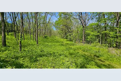 35423 Skyview Drive, Winona, MN 55987 - Photo 5