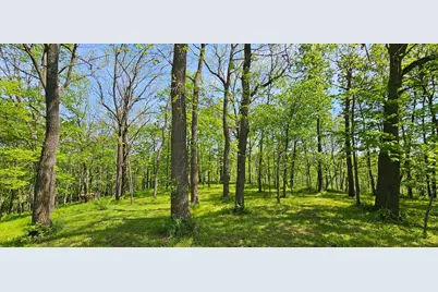 35423 Skyview Drive, Winona, MN 55987 - Photo 13