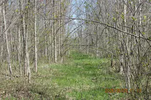 33071 Holly Rd, Pine City, MN 55063 - Photo 45