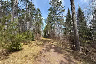 93001 Delong Rd, Wrenshall, MN 55749 - Photo 39