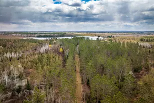 93001 Delong Rd, Wrenshall, MN 55749 - Photo 9