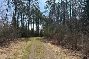93001 Delong Rd, Wrenshall, MN 55749 - Photo 29