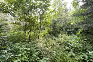7143 Hwy 1, Finland, MN 55603 - Photo 41