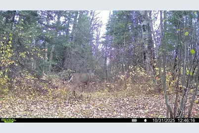 Tbd Hokkanen Rd, Iron River, WI 54847 - Photo 51