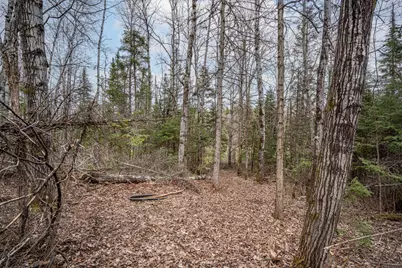 Tbd Hokkanen Rd, Iron River, WI 54847 - Photo 43