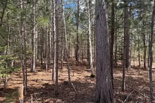 49382 Pansy Landing Rd, Sandstone, MN 55072 - Photo 13