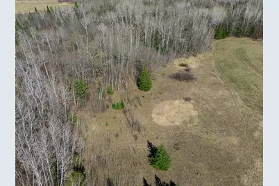 Tbd County 63, Boy River, MN 56672 - Photo 21