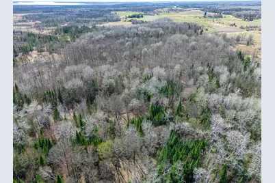 Tbd County 63, Boy River, MN 56672 - Photo 15