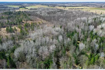 Tbd County 63, Boy River, MN 56672 - Photo 17