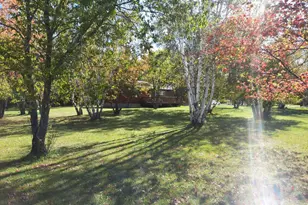 3207 Co Rd 93, International Falls, MN 56649 - Photo 25