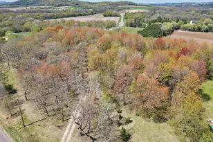 W7048 County Rd D, Arkansaw, WI 54721 - Photo 13