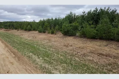 Tbd 450th St - Parcel A, Laporte, MN 56461 - Photo 3