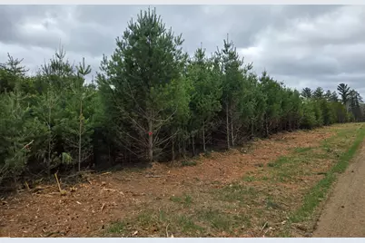 Tbd 450th St - Parcel A, Laporte, MN 56461 - Photo 1