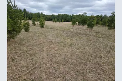Tbd 450th St - Parcel B, Laporte, MN 56461 - Photo 1