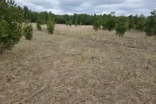 Tbd 450th St - Parcel B, Laporte, MN 56461 - Photo 1