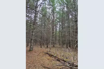 Tbd 450th St - Parcel C, Laporte, MN 56461 - Photo 3