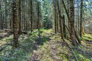 8225 N Blaisdell Lake Rd, Winter, WI 54896 - Photo 43