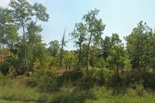 56829 Croix Ln E, Pine City, MN 55063 - Photo 1
