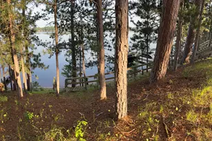 29239 & 29233 County Road H, Danbury, WI 54830 - Photo 25