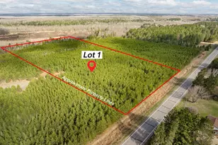 Tbd Scenic Hwy 7, Bovey, MN 55709 - Photo 1
