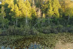 32118 E Gunn Lake Trail, Marcell, MN 56657 - Photo 41