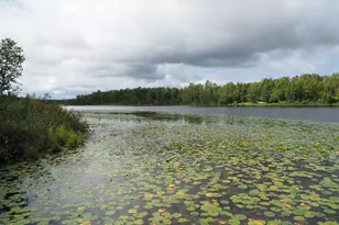 32118 E Gunn Lake Trail, Marcell, MN 56657 - Photo 55