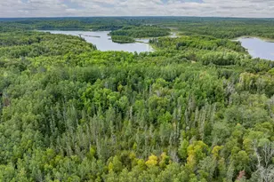 32118 E Gunn Lake Trail, Marcell, MN 56657 - Photo 35